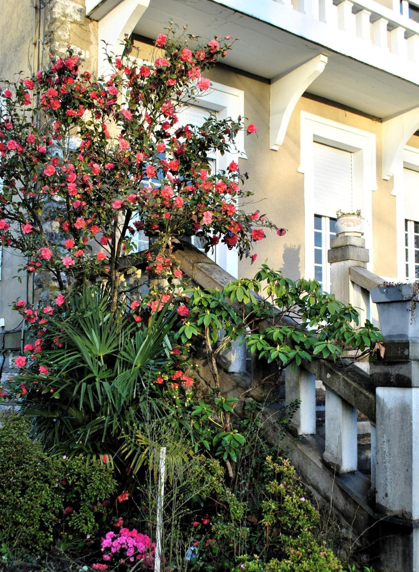 Villa Hortebise Salies-de-Béarn Exterior foto