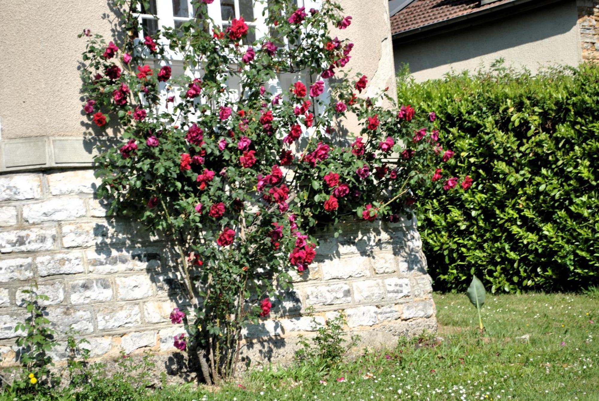 Villa Hortebise Salies-de-Béarn Exterior foto